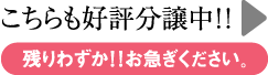 こちらも好評分譲中
