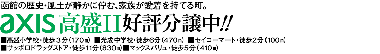 axis高盛2好評分譲中！