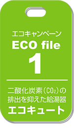 エコキャンペーン