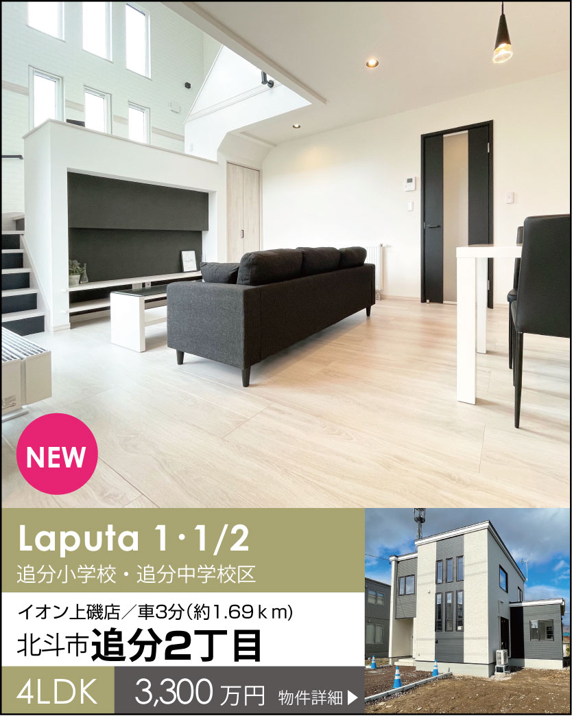 北斗市追分2丁目P21_21　建売住宅　